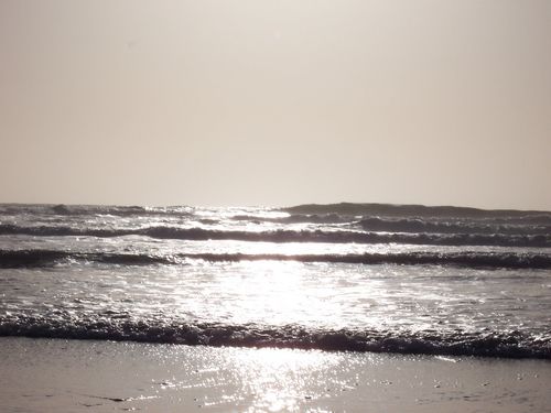 Ocean Beach (palo-alto_100_8610.jpg) wird geladen. Eindrucksvolle Fotos von der Westküste Amerikas erwarten Sie.